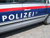 Rakouská a nmecká policie zavedla tvrdí postihy. V Nmecku hrozí pokuty i za nedodrování odstupu a nadávání za volantem. Ilustraní foto.