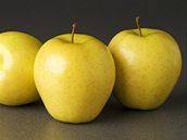 Jablka obsahují a 30 % pektinu, tedy úinné vlákniny