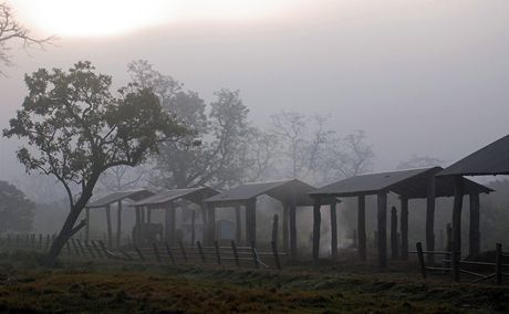 Nepl, Chitwansk nrodn park