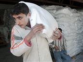 Palestinec si bhem tíhodinového pímí odnáí pytel s moukou, který piputoval do msta Gaza díky humanitární pomoci.