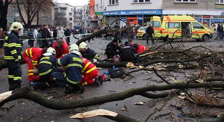Spadlý strom v centru Zlína