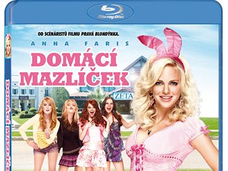 Blu-Ray Domc mazlek