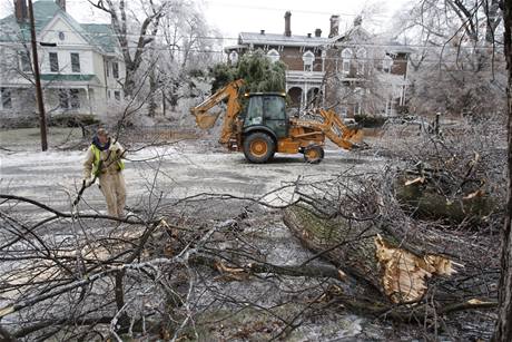 Amerian Dallas Conger uklz strom, kter nevydrel npor ledu ve mst Danville v USA.