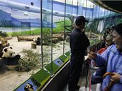 Na pandy v tchajpejské zoo se dorazily podívat davy lidí. Ped výbhem pand se ale nemohly zastavovat. 