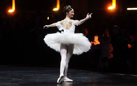 Na eskm plesu v Bruselu inkovala i svtoznm primabalerna Anglickho nrodnho baletu Daria Klimentov.