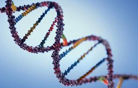 Vdci rozíili genetický kód erv tak, aby mohly vznikat dosud neznámé bílkoviny. Ilustraní foto.