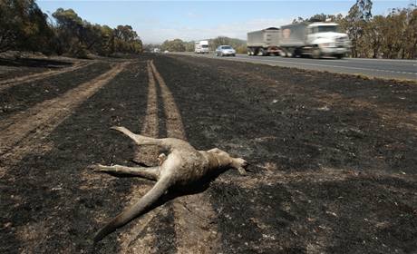 Požáry zasáhly také oblast u dálnice Hume u Seymouru, zhruba sto kilometrů od Melbourne. (9. únor 2009)