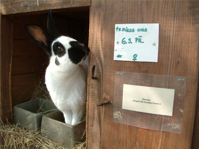 Adopce zvíat je i v Toulcov dvoe oblíbenou formou sponzoringu.