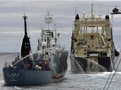 Ekologití aktivisté svádjí na moi bitvu s japonskými velrybái.