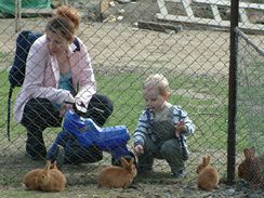 Pro děti je možnost blízkého poznání domácích zvířat naprosto jedinečným zážitkem.