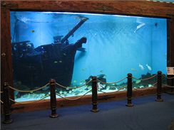 Akvárium s 50 tisíci litrů vody, vytvářející iluzi mořského dna s korábem lodi Bounty, je dokonalým domovem pro rejnoky, murény a celou řadu dalších mořských ryb (Mořský svět, Praha).