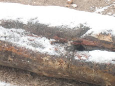Granát nalezený 9. února v Pávovské ulici v Jihlav