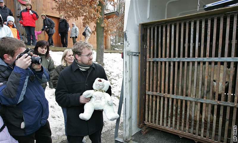 V neděli odjel z brněnské zoo i lední medvěd Bill