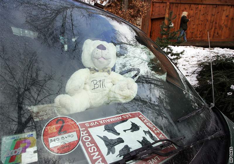 V neděli odjel z brněnské zoo i lední medvěd Bill