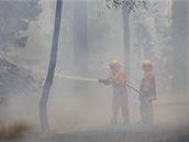 Hasii bojují s ohnm severn od msta Healesville poblí Melbourne. (10. únor 2009)