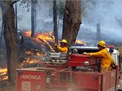Hasii bojují s plameny v Kiewa Valley - v horách ve stát Victoria (10. únor 2009)