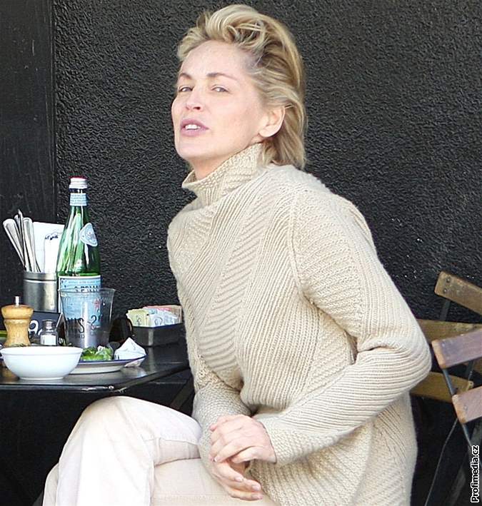 Sharon Stone bez make-upu 