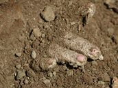 V dalím hromadném hrob bylo deset tl