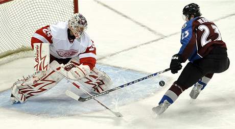 Milan Hejduk válí v NHL. Te by se chtl znovu pedvést i v reprezentaci