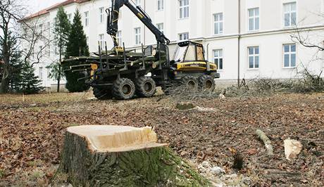 Aktivist brn stromy, kter se kc v parku u Lebny dlouhodob nemocnch ve Vysokm Mt (5. 3. 2009)