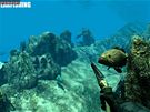 Spearfishing