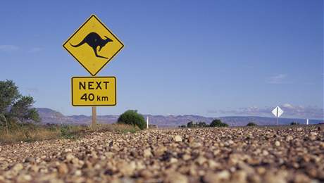 Na nebezpe stetu s klokany na cestch pamatuj v Austrlii i dopravn znaky