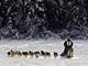 Iditarod 2009