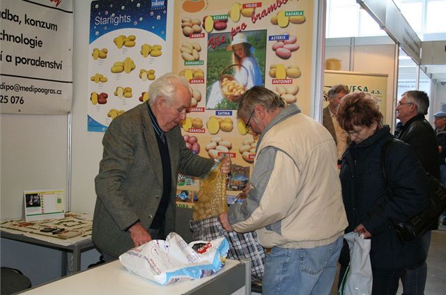 Kvalitní bramborová sadba rozhodne o tom, jak si v lét i na podzim pochutnáte.