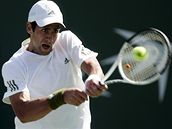 Novak Djokovi�