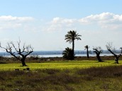 Tunisko, Mahdia. Jezero Moknine