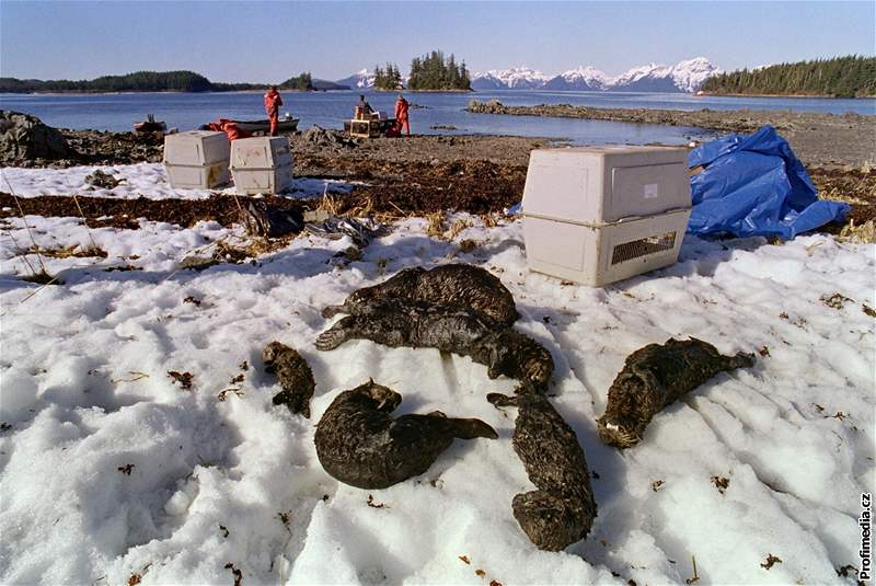 Havárie ropného tankeru Exxon Valdez u Aljaky v beznu 1989