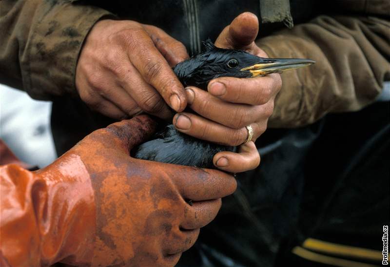 Havárie ropného tankeru Exxon Valdez u Aljaky v beznu 1989