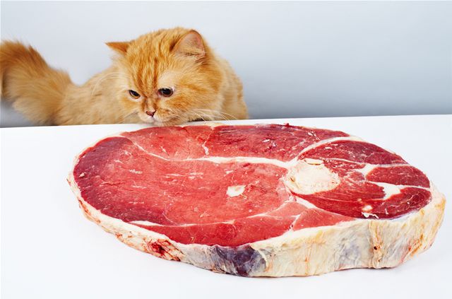 Kočky syrové maso většinou milují, měly by ho ale dostávat jen občas.