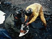 Havárie ropného tankeru Exxon Valdez u Aljaky v beznu 1989