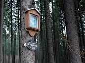 Místo, kde m�la být u Polné zavra�d�na Ane�ka Hr�zová