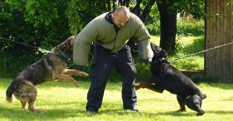 Sluebn psi jihomoravskch policist pi vcviku