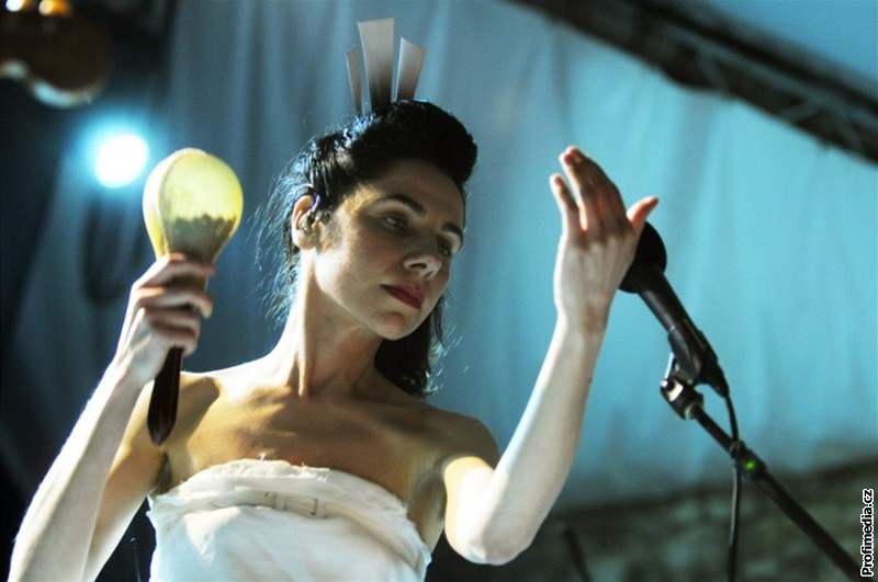 PJ Harvey má mnoho poloh,  ta poslední je zatím nejvysplejí.