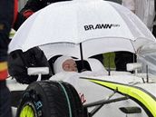 Brawn GP: Jenson Button v deti
