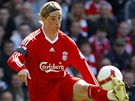 Liverpool: Fernando Torres