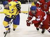 �védsko- �esko, MS do osmnácti let