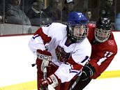 Momentka z utkání �esko - �výcarsko