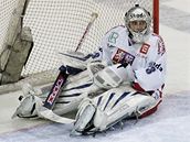 esko - Rusko: eský branká Jakub tpánek je pekonán