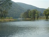 Nádherná široká česká řeka Berounka