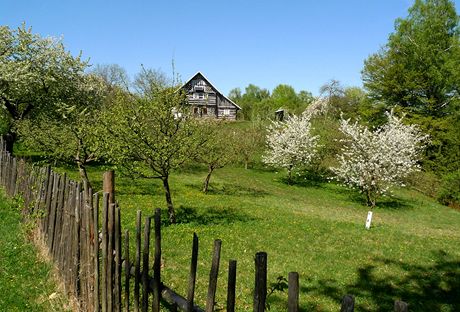 Cyklovlet na Kokonsko