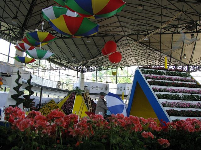 Z budování "kvtinového apitó" v hlavním výstavním pavilonu (21.4.2009).