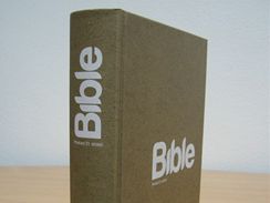 Bible21