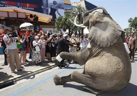 Cannes 2009 - slon na Croisette