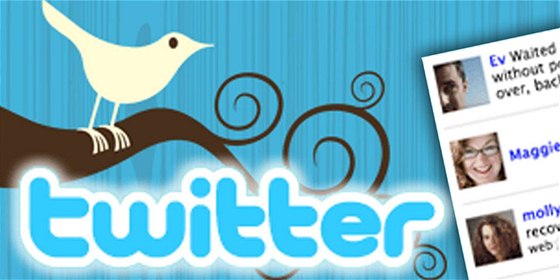 Twitter.com - svtov nejpouívanjí mikroblogovací sluba