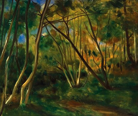 Andr Derain: Sous-Bouis en Provence