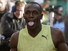 Usain Bolt slaví svtový rekord na 150 metr